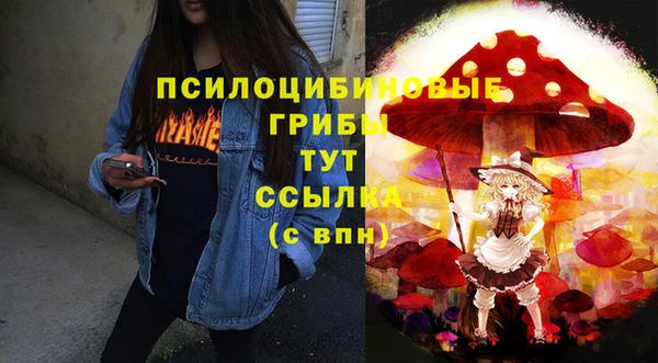 дживик Нея
