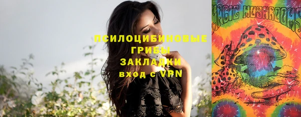 дживик Нея