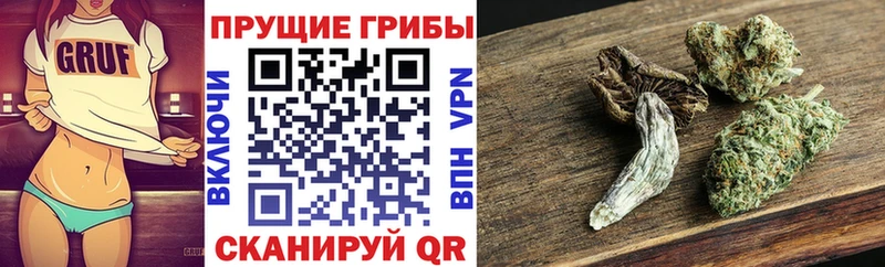 Галлюциногенные грибы Magic Shrooms  Тамбов 