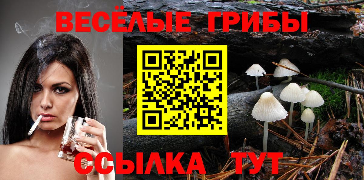 Тамбов  Псилоцибиновые грибы Psilocybe  купить наркотики сайты  Псилоцибиновые грибы мицелий  Вход с VPN 