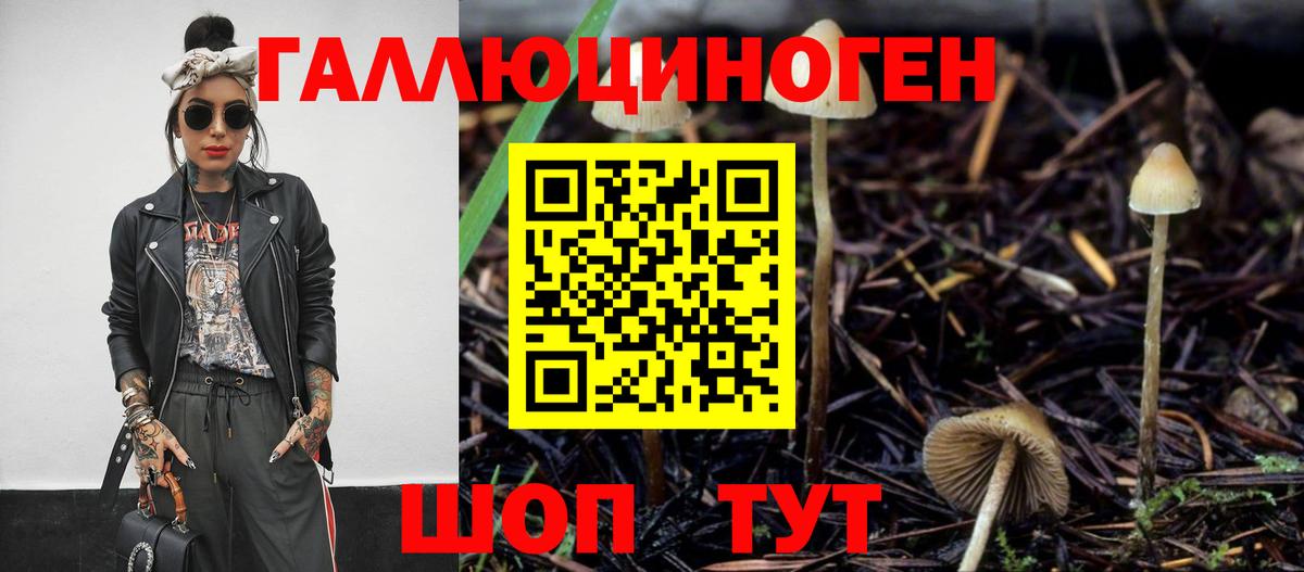 Галлюциногенные грибы Psilocybe Тамбов