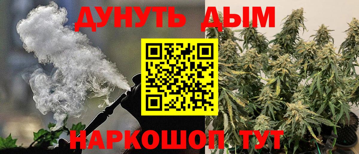 Бошки Шишки конопля Тамбов